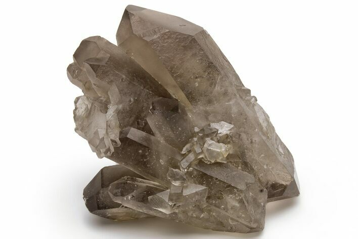 Natural Smoky Quartz Crystal Cluster - Brazil #231286